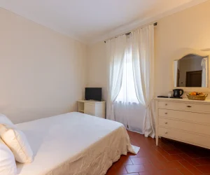 camera_viola_4.webp