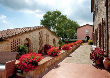 tenuta quadrifoglio lavanda (6)