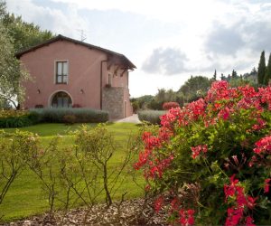 tenuta quadrifoglio - salvia (1)