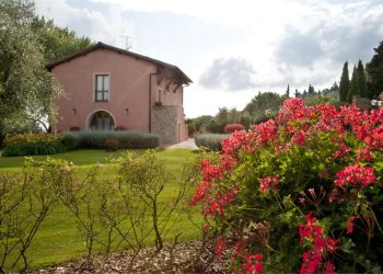 tenuta quadrifoglio - salvia (1)