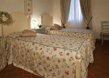 tenuta quadrifoglio - salvia (4)