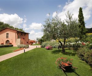 tenuta-quadrifoglio-salvia-7.jpg